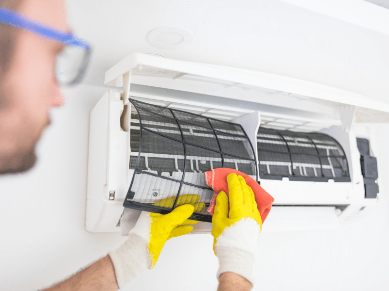mold growth in the air conditioner
